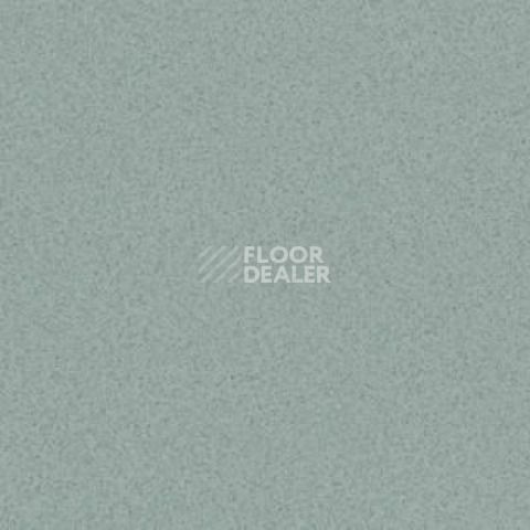 Линолеум Tarkett Travertine Pro PRO_GREEN 02 фото 1 | FLOORDEALER